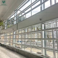Estructura de Acero Galvanizado por Inmersión en Caliente, Resistente, para Granjas Avícolas, con Diseño de Ventilación Tipo Túnel