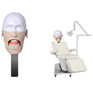 Production <span class=keywords><strong>professionnelle</strong></span> de simulateur dentaire de tête fantôme de mannequin de science médicale de haute qualité pour l'entraînement - Product Image 3
