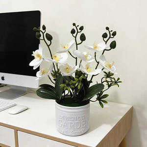 Orchidée Phalaenopsis artificielle Paulon, 27 cm de haut, fleurs blanches, plante en pot en plastique souple pour la décoration intérieure - Product Image 1