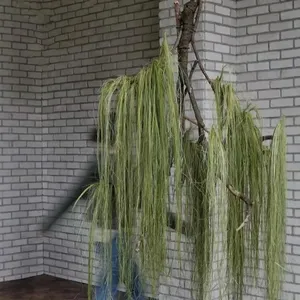 Planta Colgante Artificial de Hojas de Salix, Decoración de Plástico Suave para Bodas y Eventos, para el <span class=keywords><strong>Día</strong></span> <span class=keywords><strong>del</strong></span> <span class=keywords><strong>Padre</strong></span>, <span class=keywords><strong>Día</strong></span> de la Madre, Pascua, Navidad - Product Image 3