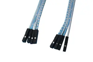 4 p JST PH 2mm om 4 x individuele Dupont Vrouwelijke connector verlengkabel