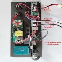 Carte d'amplification numérique 12V 110V 220V 2.0 Stéréo 2*150W 300W pour haut-parleur de 8 à 18 pouces avec entrée microphone et guitare