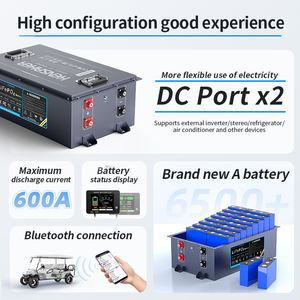 卸売ストリートミニ4輪36v 48v 60v 72v 96v230ah電動4人乗りゴルフカートリチウムバッテリーパック（スチールケースBMS付き） - Product Image 3