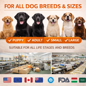 Alimento Seco para Perros con Alto Contenido de Proteínas, Empaquetado a Granel, Venta al por Mayor para Tiendas de Mascotas - Product Image 5