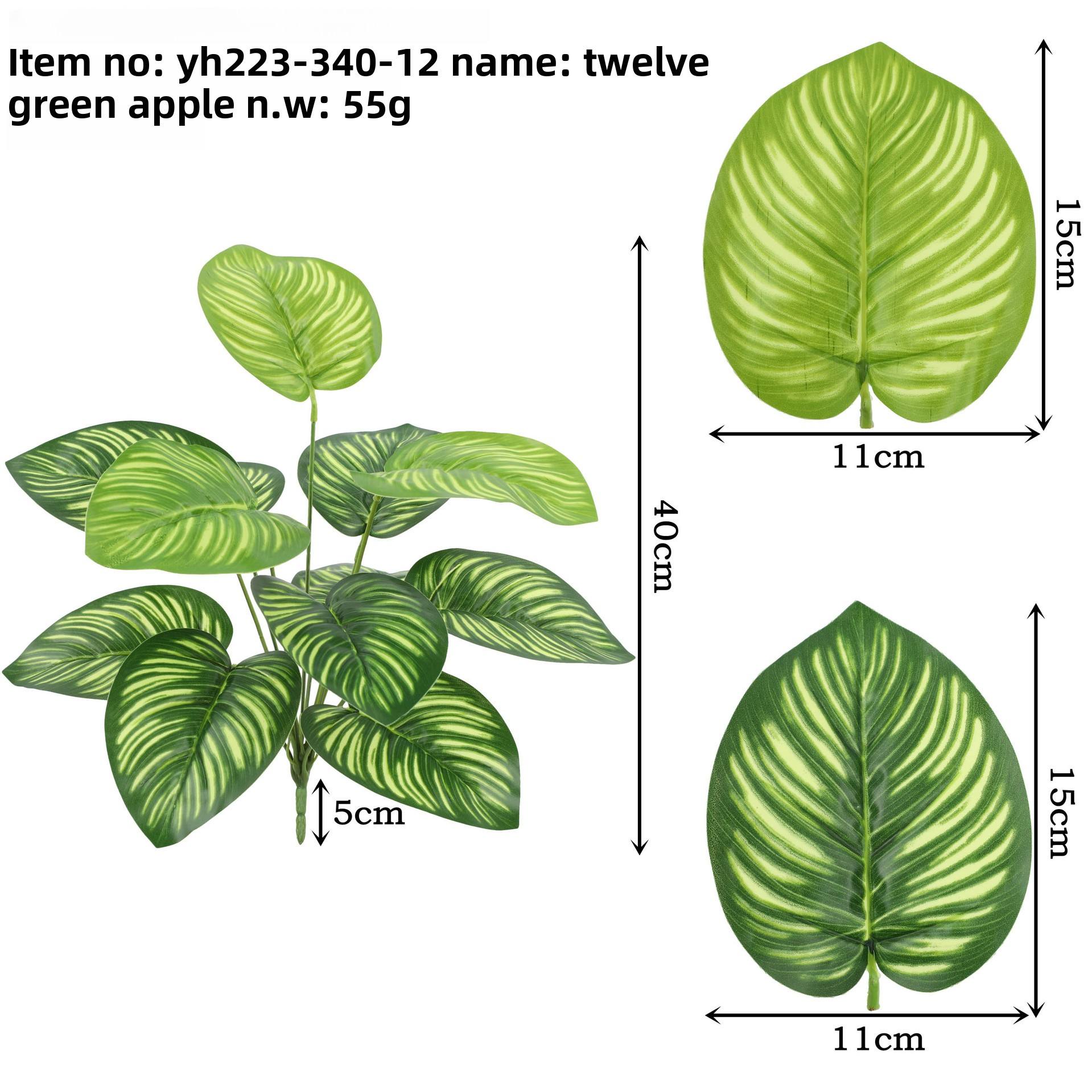 ใบแอปเปิ้ลเขียวสิบสองใบ Yh223-340-12