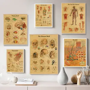 Omurga grafik iskelet posterler İnsan anatomisi diz eklem ayak tuval boyama tıbbi duvar sanatı baskılar odası ev dekor
