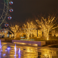 LIANGCAI Weihnachts-Außenbeleuchtung Wasserdichte LED-Lichterkette für Bäume Anpassbare Länge IP65-Schutzklasse 220V/110V 100 LEDs 8 Blinkmodi