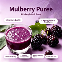 Lotlong Premium Natuurlijke Levendige Paarse Op Maat Gemaakte Productie Fabriek Zoete & Pittige Moerbeipuree voor Fruitthee Smoothie Shop Productie