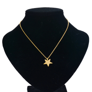 Star Shape Urn Jóias Colar Aço Inoxidável Colar Cremação Jóias para Cinzas Lembrança Memorial Presentes para Mulheres Homens - Product Image 6