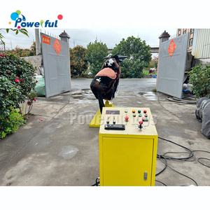 Jeux de carnaval Rodeo Bull Amusement Park Riding Machines <span class=keywords><strong>Prix</strong></span> de <span class=keywords><strong>location</strong></span> de <span class=keywords><strong>taureau</strong></span> <span class=keywords><strong>mécanique</strong></span> - Product Image 2