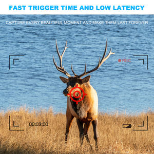 كاميرا درب 4G كاميرا برية مصيدة صور الحياة البرية الخلوية لعبة الصيد GSM/GPRS وضع البلاستيك Wildkamera - Product Image 4