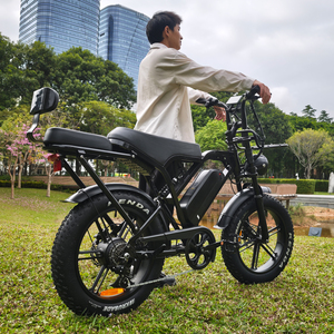 ยางรถจักรยานไฟฟ้า250W จักรยานไฟฟ้าจักรยานไฟฟ้า fatbike X80 Pro Electr มอเตอร์ EU X80PRO ความเร็ว25kmh ได้รับการรับรอง EU - Product Image 1