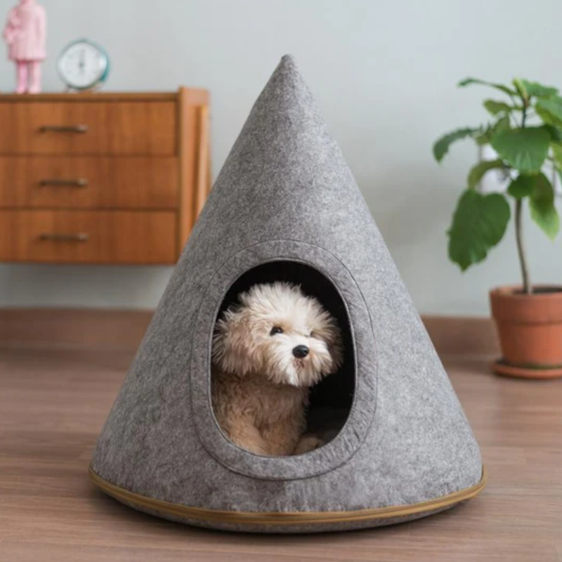 Indoor Pet Beds House Lovely Cat