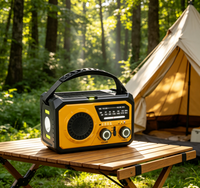 Banque d'alimentation portable d'urgence 16000 mAh avec lampe de lecture, lampe torche LED, SOS, radio AM/FM et radio Internet pour la maison et l'extérieur