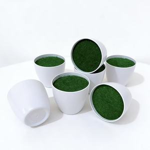 Pot de plante artificielle Paulon 7cm, blanc, en plastique, pour décoration intérieure, style nordique, pots à fleurs - Product Image 3