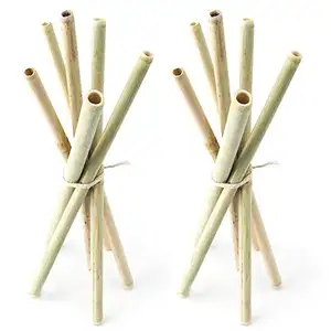 Sedotan Bambu Organik Ramah Lingkungan, Set dengan Sikat Sedotan Minum Kayu Kualitas Tinggi Sedotan Bambu Dapat Digunakan Kembali
