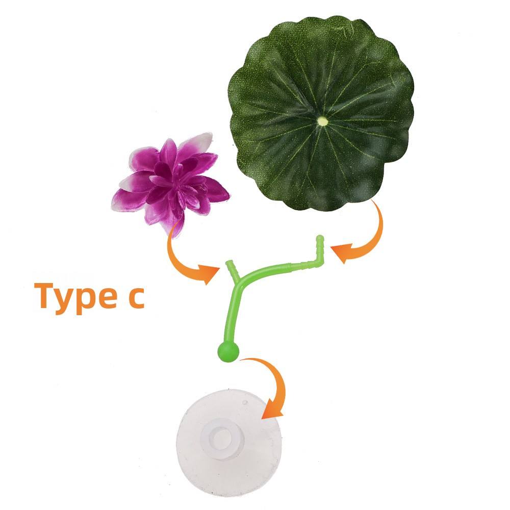 C สีเขียว