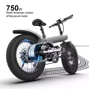 คลังสินค้า EU US ระยะการใช้งาน 90-100 กม. กำลังไฟ 48V 750W สำหรับผู้ใหญ่ - Product Image 2