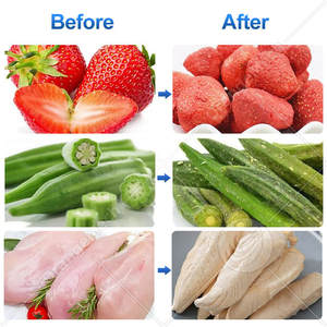 ORME Industrial 50kg 200kg <span class=keywords><strong>Machine</strong></span> de lyophilisation par <span class=keywords><strong>condensation</strong></span> pour fleurs et café, Équipement de lyophilisation, Prix - Product Image 2