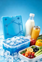 Nouvelle glacière réutilisable pour congélateur, bloc de glace rigide en PEHD, longue durée de refroidissement, étanche, pour boîte à lunch, aliments et chaîne du froid des vaccins médicaux
