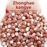 Nouvel arrivage en gros de fruits séchés Zhaoqing Gorgon, graines d'Euryale en vrac, forme de boule brisée semi-ouverte, 500g, stockage à froid et à sec