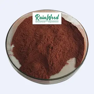 Dutch Processed Cocoa Powder Cocoa Powder Alkalized 10 12% 25kg Alkalize Cocoa Powder