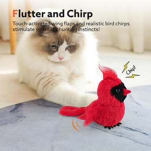 Giocattoli per animali domestici che cinguettano gli <span class=keywords><strong>uccelli</strong></span> che sbattono giocattoli per esercizi con gatti interattivi realistici con cinguettio di <span class=keywords><strong>uccelli</strong></span> USB giocattoli automatici per gatti - Product Image 2