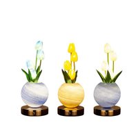 Lampe de table européenne de petite taille, vente directe d'usine, taille personnalisée, logo personnalisé, lampe d'ambiance de chevet, lampe décorative de café