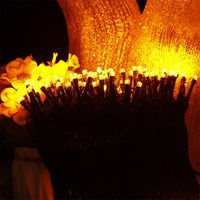 10m 100 LED 110V Stecker-Lichterkette für Innen und Außen, Plastik-Weihnachtsbaumbeleuchtung, Dekorative Ornament-Lichterkette, Feenlichterkette