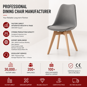 <span class=keywords><strong>Chaise</strong></span> de salle à manger en plastique de style nordique minimaliste, pieds en bois de hêtre, siège portable et élégant pour salle à manger, café, bureau - Product Image 2