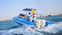 Bateau de pêche gonflable en fibre de verre PVC ou Hypalon, bateau côtelé, 32 pieds, 9.6m, Offre Spéciale