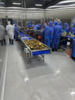 Nieuwe industriële intelligente ananas schil- en ontpitmachine met hoge productiviteit en aanpasbare spanning