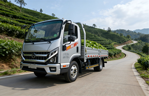 Nouveau camion de fret léger de 5 tonnes, diesel, essence, GNC, 4x2, cabine simple et demi, conduite à gauche, simple rangée, 3 sièges - Product Image 6