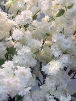 Albero di Ciliegio Artificiale Personalizzato Rosa e Bianco, Pianta in Legno con Fiori Artificiali, Bonsai per Decorazioni Casa e Matrimonio