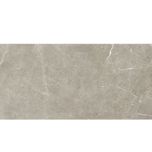 Carrelage en porcelaine effet béton gris mat pour sol et mur de cuisine et salle de bain, 450x900mm, JYG49727F - Product Image 2