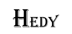 Hangzhou Hedy Decoration Design Company Limited logo