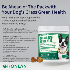 Complément alimentaire pour animaux de compagnie, friandises molles à base d'herbe verte pour chiens, OEM/ODM, réduit les brûlures à l'herbe, soutient la santé des voies urinaires, maintien - Product Image 2