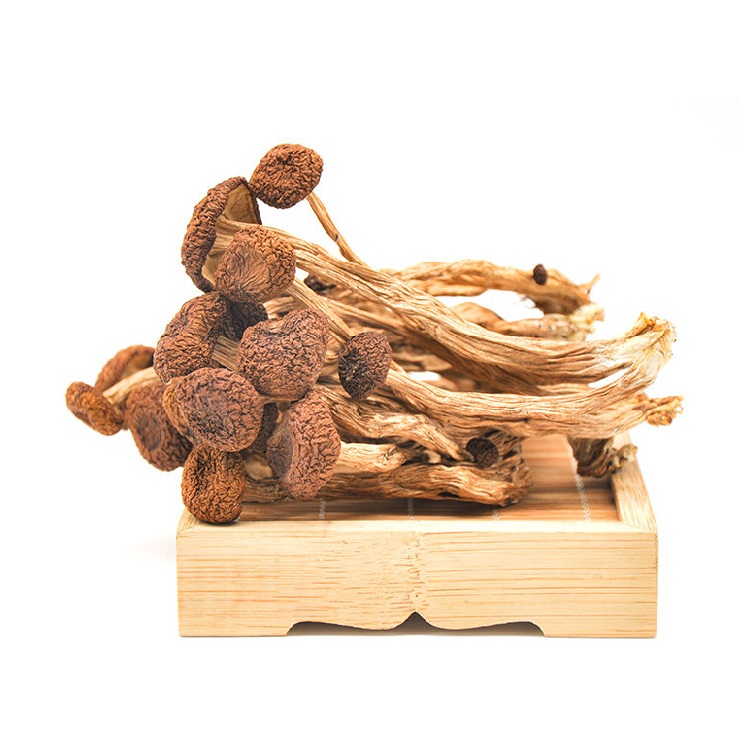 Special Hot Selling High Quality Mushrooms Food Dried Tea Tree Mushroom