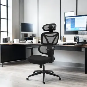 Cadeira ergonômica moderna Home Office com suporte lombar Mesh e tecido estilo Lift Chair Design
