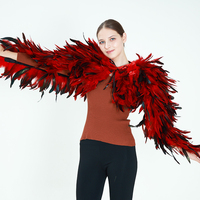 Écharpe d'épaule en plumes naturelles avec manches longues, multicolore, accessoire de costume pour spectacle, carnaval, cosplay