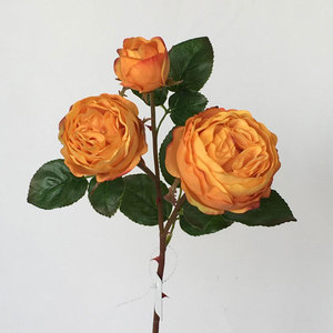 21 "CHUBBY ROSE STE[EF7267] - Product Image 2
