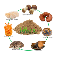 Vente chaude Lions Crinière Cordyceps Reishi Chaga Queue De Dinde Extrait De Champignon Poudre De Champignon Biologique Mélange De Poudre De Champignon