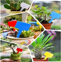 Étiquettes de marquage de plantes imperméables en PP, étiquettes de type T pour les fleurs, les légumes, les semis et les herbes en pot