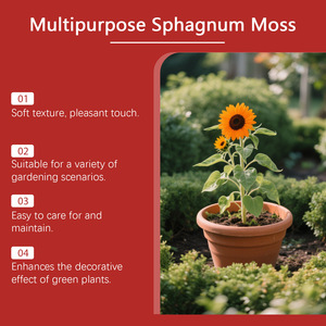 MOONSPRY สารปรับสภาพดิน DIY - Product Image 6