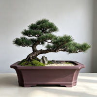 Pot de Plante Simple, Pots Minimalistes pour Arbres, Pot à Bonsaï en Argile Violette de Yixing, Pots de Fleurs Écologiques pour Hôtels, Jardins et Fenêtres