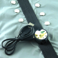 Lampe LED clignotante colorée sur mesure pour chien, manteau pour animaux de compagnie, vêtements et accessoires pour chiens, vestes et vêtement d'extérieur, soin des griffes, livraison gratuite