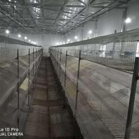 חקלאות ציוד מרותך מגולוון חוט רשת רבייה כלוב ארנב