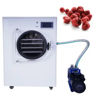 Mini-Vakuum-Haustrocknungsmaschine für Lebensmittel Gefrierschweißgerät Lyophilisator für Obst Gemüse/Lyophilisierung Gefrierschweißgerät