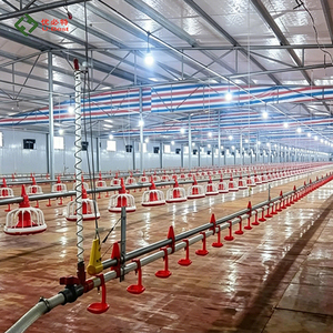 PHOENIX - Tubería de Agua Cuadrada de PVC con Bebedero de Tetina <span class=keywords><strong>para</strong></span> Aves de Corral, Sistema Automático de <span class=keywords><strong>Bebederos</strong></span> <span class=keywords><strong>para</strong></span> Gallineros - Product Image 4