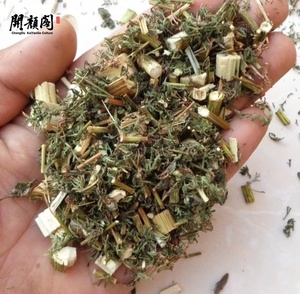 KAIYANGE gros <span class=keywords><strong>Artemisia</strong></span> séchée chinoise Annua coupes de plantes Huang hao sauvage séché <span class=keywords><strong>Artemisia</strong></span> Annua parties hors sol <span class=keywords><strong>tisane</strong></span> - Product Image 4